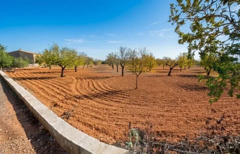 Attractive buildable plot near Campos with development potential, a large warehouse and a cistern — photo 1