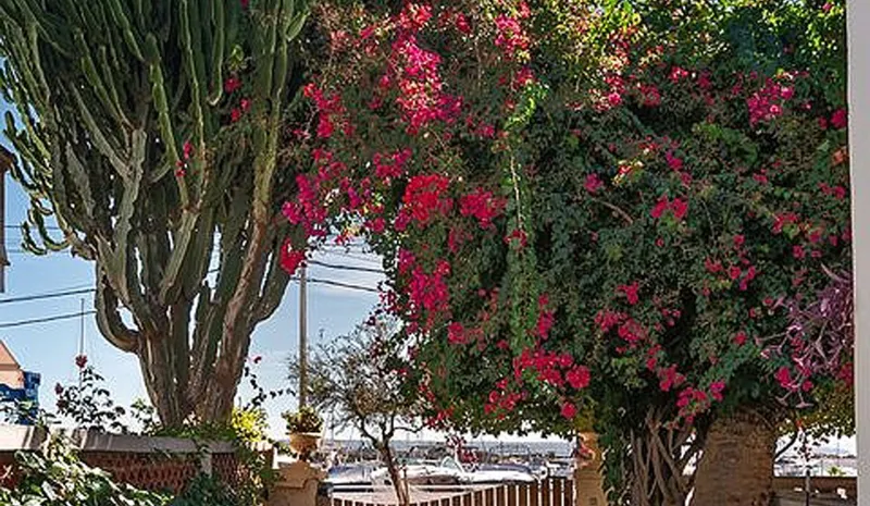 VVCGB 001 – Cala Gamba Palma — photo 8