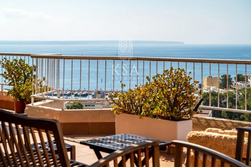 Penthouse — photo 12