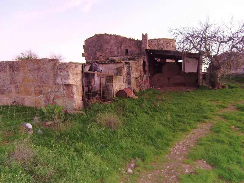 Rural or Farmhouse in Muro, Province of Balearic Islands — photo 9