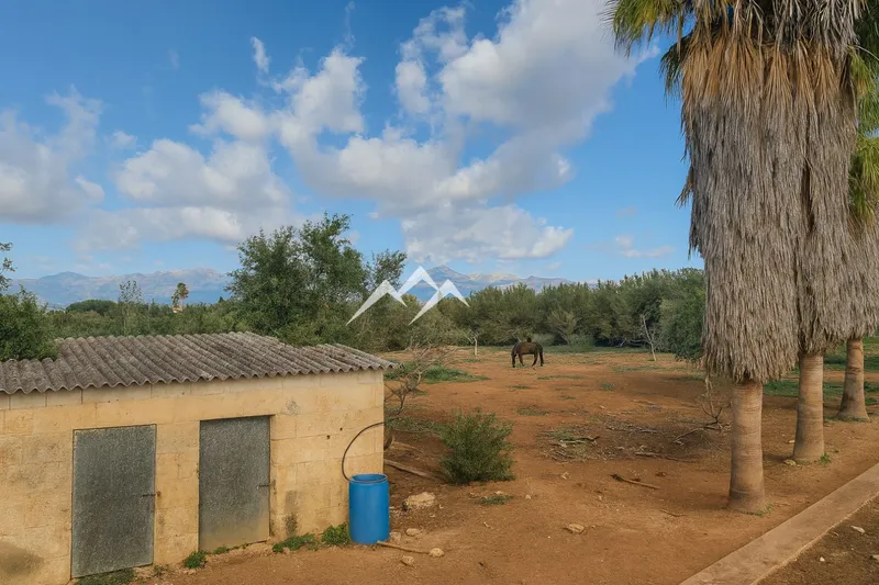 Urban plot for building up to 6 homes in Muro — photo 2