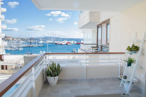 Son Armadams, exclusively renovated apartment on the Paseo Marítimo with terrace and beautiful harbour view — photo 2