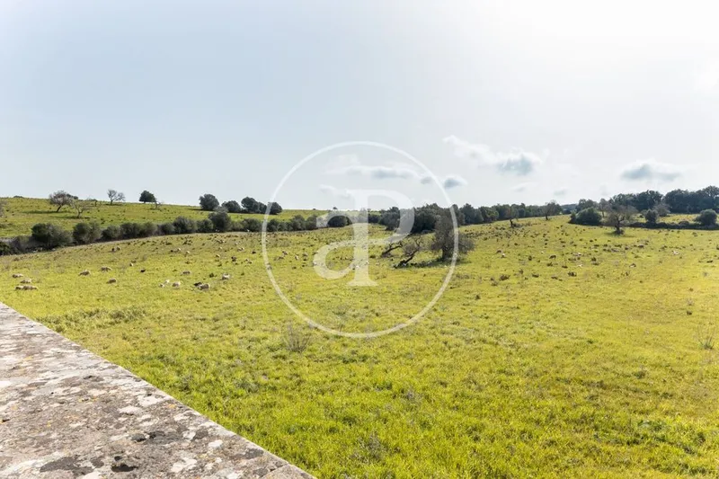 Farmhouse in Algaida, Province of Balearic Islands — photo 12