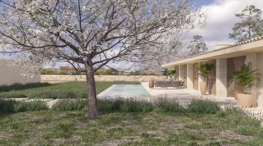 Rustic land - Sineu (Crtra Petra), plot surface 15000m2 — photo 2
