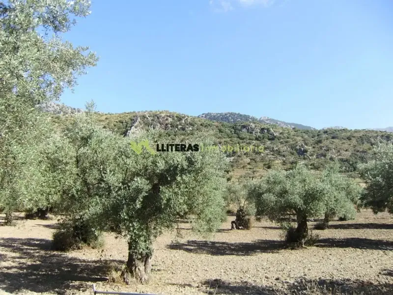 Fantastic estate in the valley between Alaro and Orient, in a paradisiacal setting surrounded by mountains. With an area of more than 50,000 m2 and u — photo 9