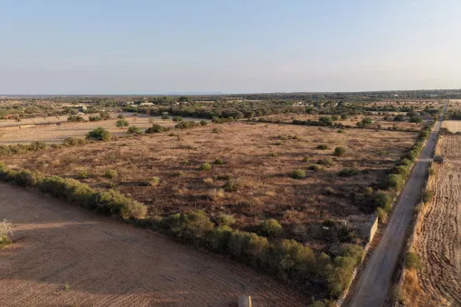 Campos, Idyllic Plot with Panoramic Views and New-Build Project between Campos and the Coast — photo 12