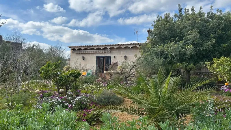 Charming rustic estate with dwelling and Mediterranean garden in Alaró — photo 5