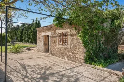 Finca in Petra with 8183m2 and stunning views — photo 1