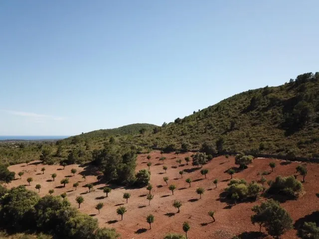 Magnificent rustic finca with mountain and sea views for sale near the Rafa Nadal Sports Academy — photo 11