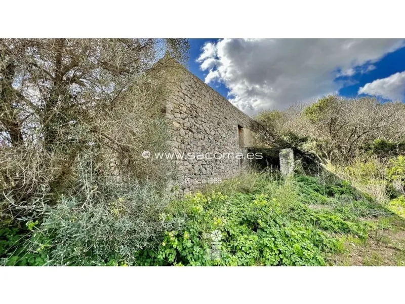 Land in Artà, Province of Balearic Islands — photo 9