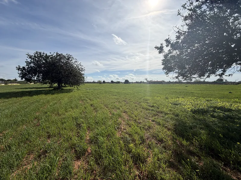 Finca with project and license — photo 4