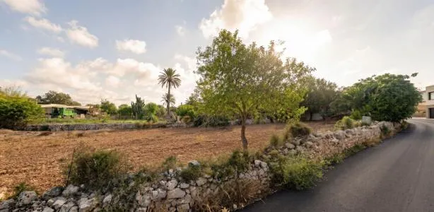 Building Site - Santanyí (Alquería Blanca - Calonge) — photo 11