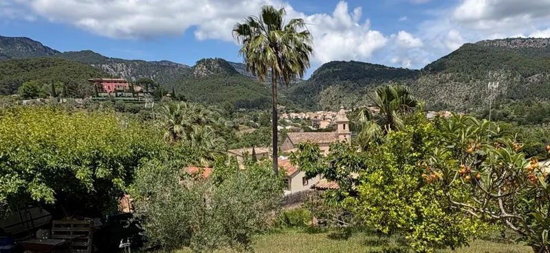 Urban Plot of Land - Puigpunyent (Puigpunyent) — photo 2