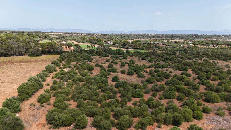 Rustic plot next to Son Antem, Mallorca — photo 3