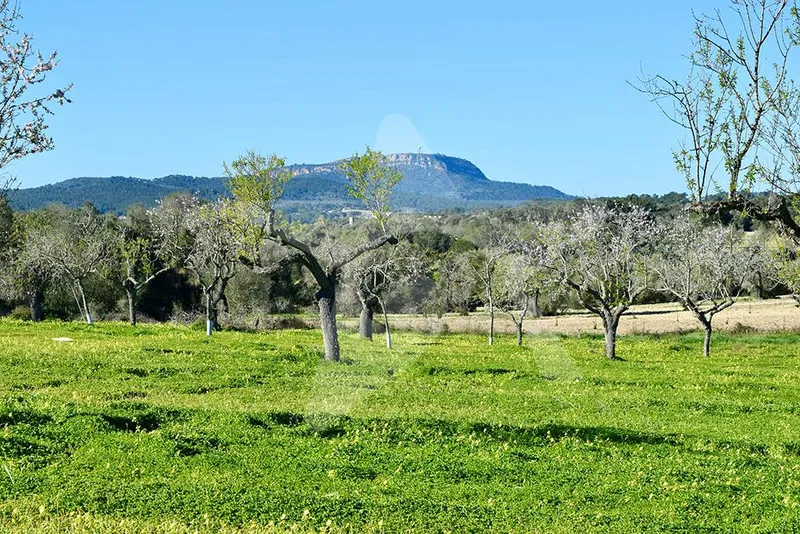 Fantastic building plot with project and planning permission — photo 2