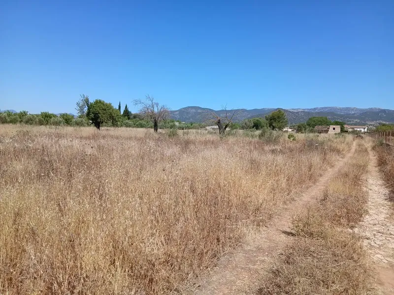 Located in the charming town of Consell, between Santa Maria and Consell, accessible via a comfortable paved road adjacent to the highway — photo 6