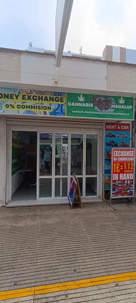 Commercial premises in Magaluf, Calvià — photo 1