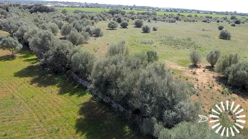 Country Estate for sale in Campos of 62000 m2 — photo 9