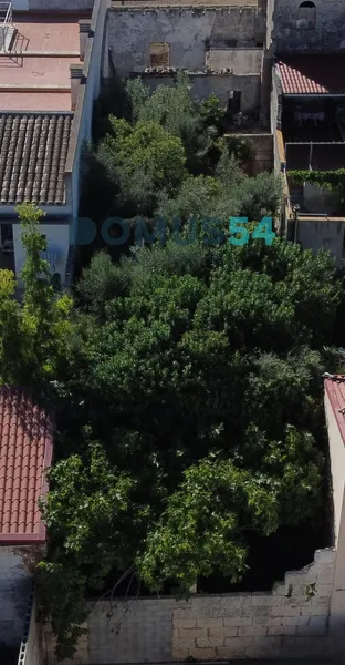 Urban plot in Sa Pobla — photo 6