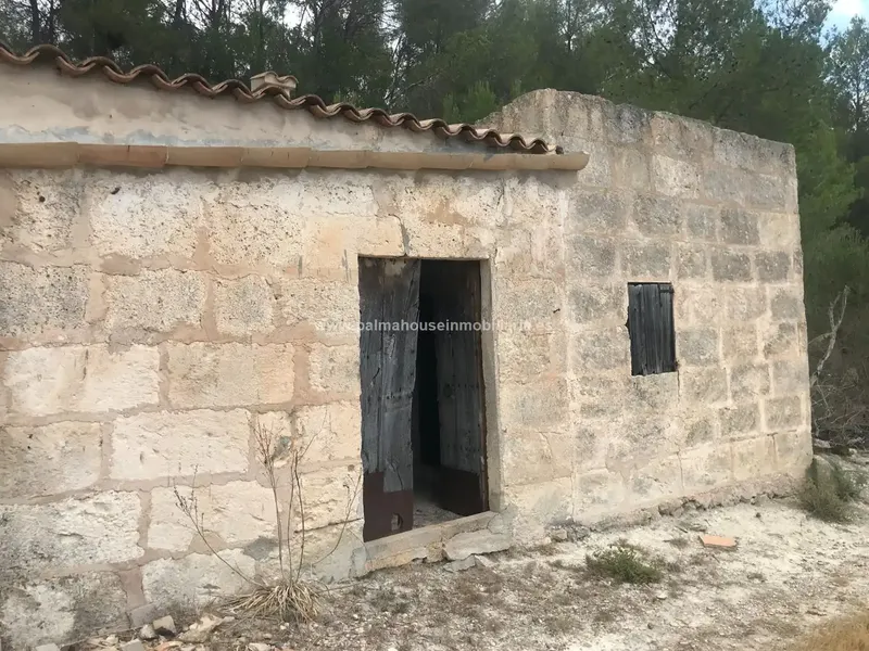 Old house surrounded by nature and with many possibilities!! Palma House Inmobiliaria offers you this spectacular rustic plot of about — photo 1