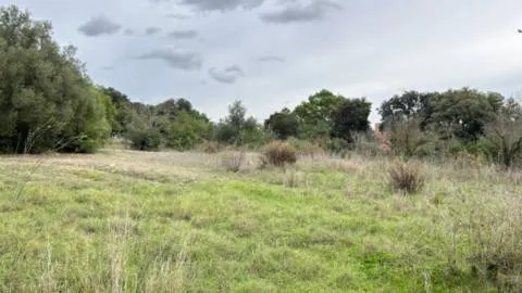 Plot — photo 11