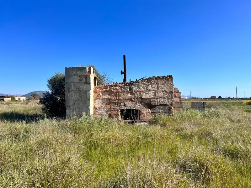 Rustic estate between Sa Pobla and Muro, with over 21,700 m2 of land and several constructions, one of them a large safareig and the other a — photo 6