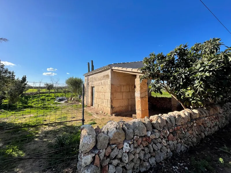 Small rustic finca with land of 20,000 m² for sale with project for a detached house of 225 m² — photo 3