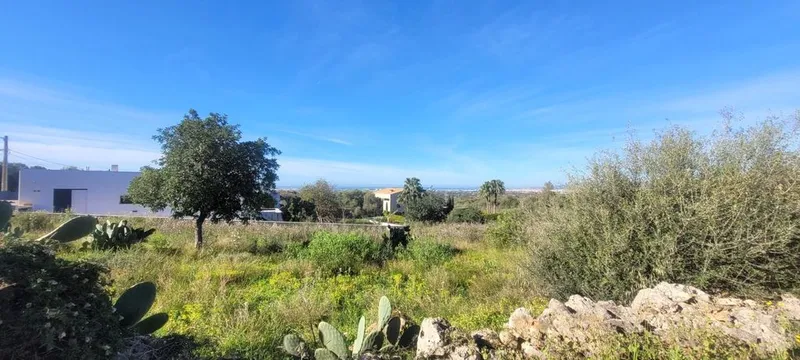 Land in Marratxí, Province of Balearic Islands — photo 4