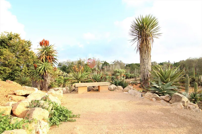 Building for sale – Ses Salines (Mallorca) — photo 11