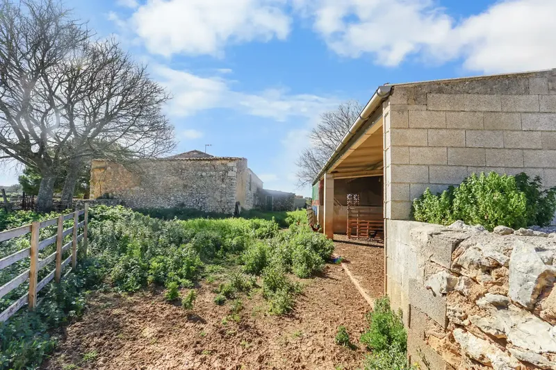 finca in Felanitx — photo 12