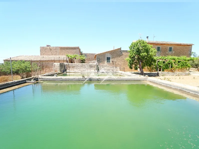 140,000 m2 Estate in Palma — photo 7