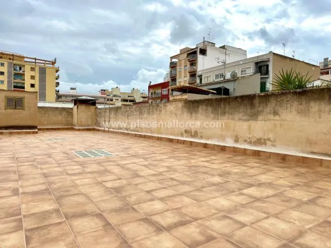 Apartment in Palma de Mallorca — photo 7
