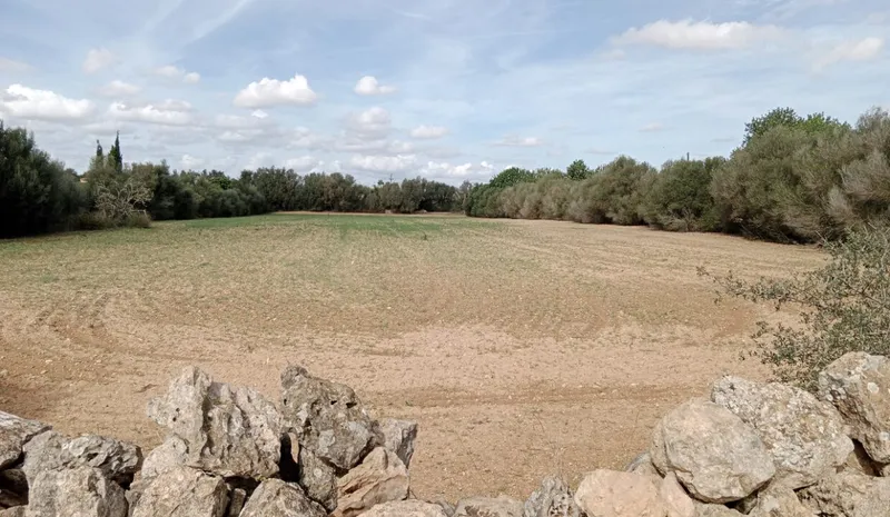 Rustic Land near Campos — photo 5