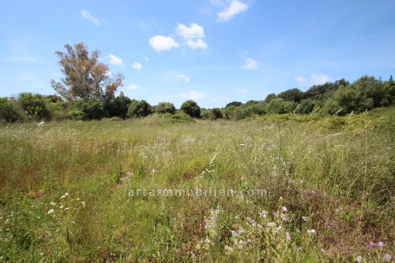 Plot in Arta — photo 1