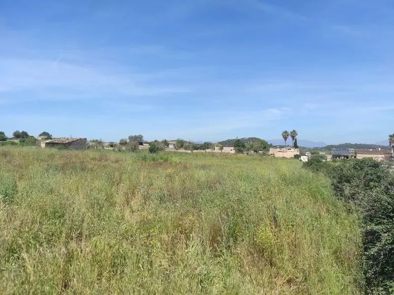 Fantastic Estate of 17,700m2 for Sale with Project for a 290m2 Single-Family Home in the Municipality of Sineu — photo 12