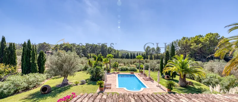 Fantastic finca in Calvia with a great garden and olive grove — photo 2