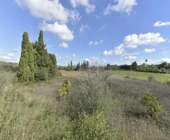 Land for Sale in Manacor — photo 9