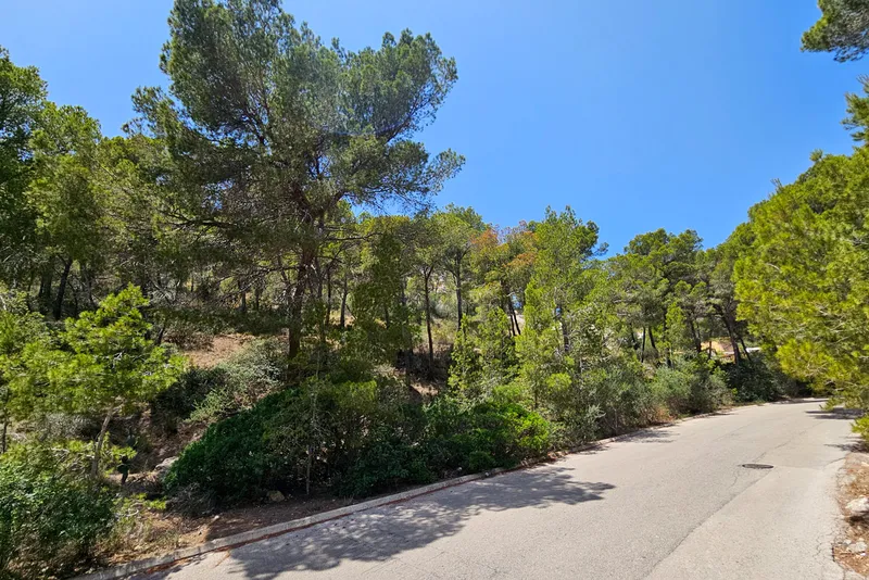 Building plot with sea views and project in Port Andratx 1 — photo 7