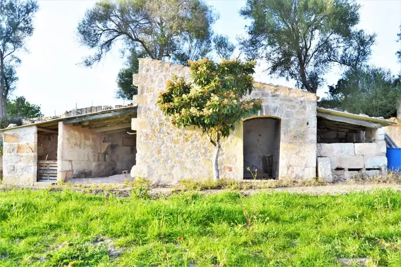 Set of three rustic plots on common rustic land, agricultural interest area of 22547 m2 located in one of the most beautiful areas of — photo 8
