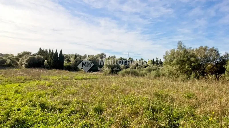 Beautiful plot of 14,033 m2 a few meters from the town of Muro, with clear views and native vegetation of the islands. Easy access by — photo 10