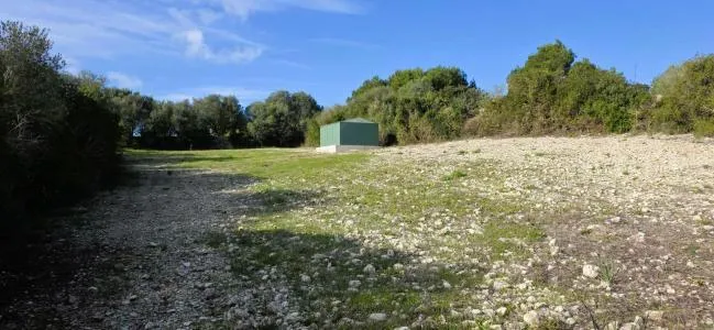 Rustic Land - Manacor (Manacor Centro), Plot Surface 2600m² — photo 3