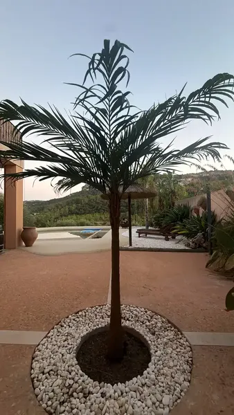 Amazing House — photo 2