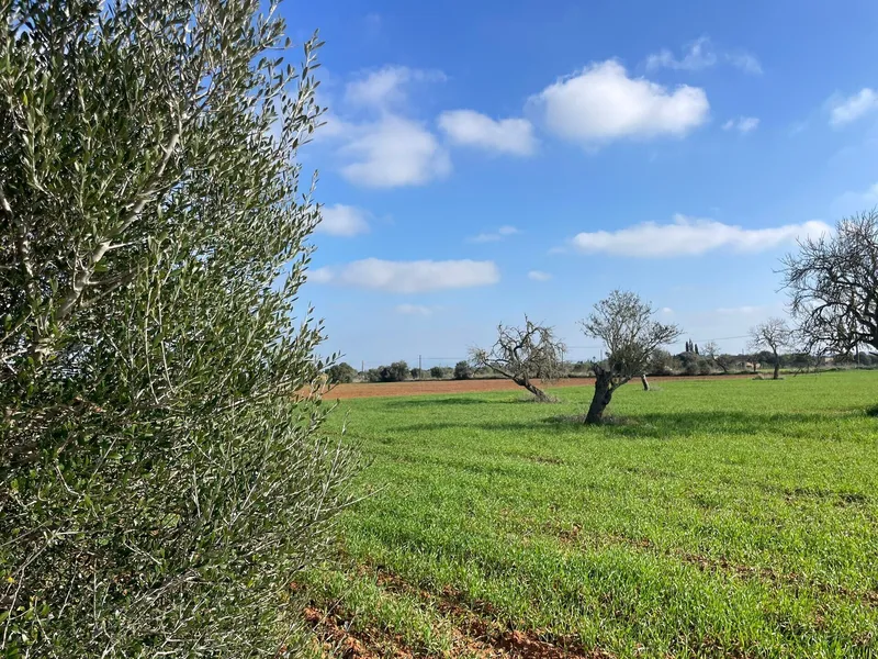 Buildable plot in Campos, Revellar, with large finca project with pool — photo 1