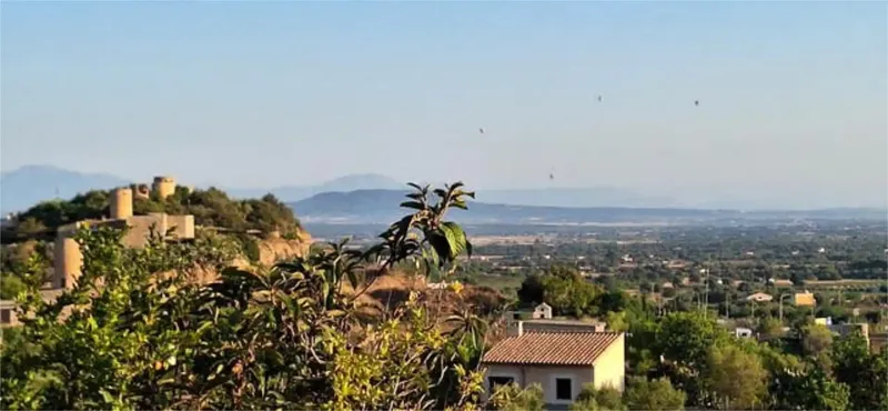 For sale: part of a finca with a 55 m² cottage. Not mortgageable. — photo 6
