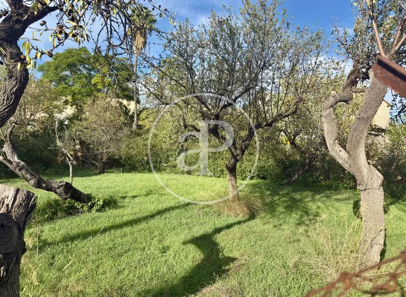 Land in Calvià, Province of Balearic Islands — photo 3