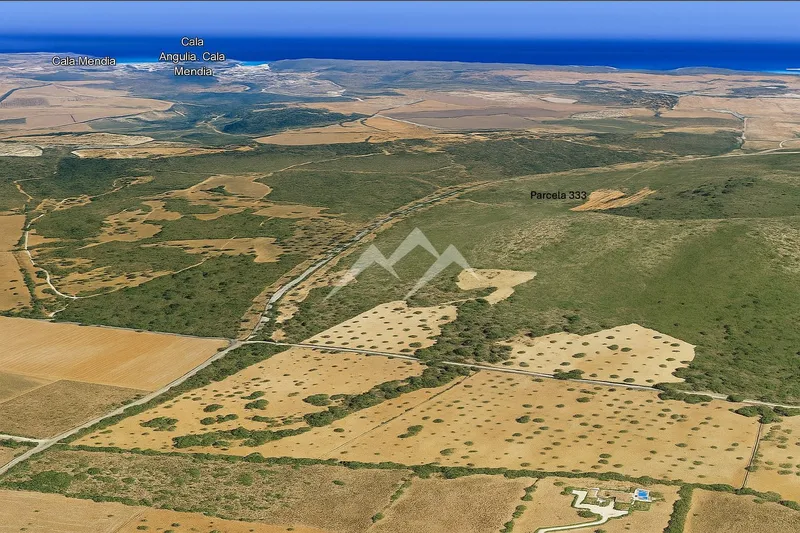 57,000 m2 plot with house project with pool in Manacor — photo 11