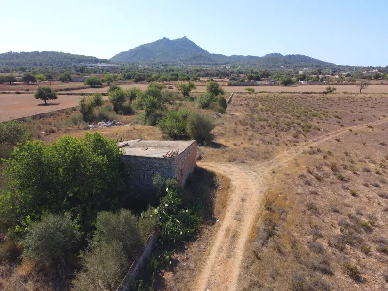 Buildable plot in Felanitx of 21,710 m2 — photo 4