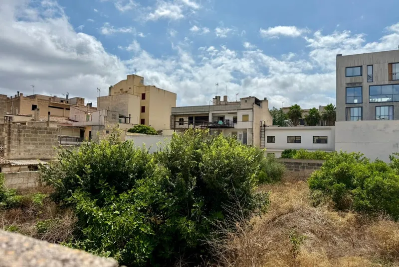 556 m² plot in Manacor — photo 2