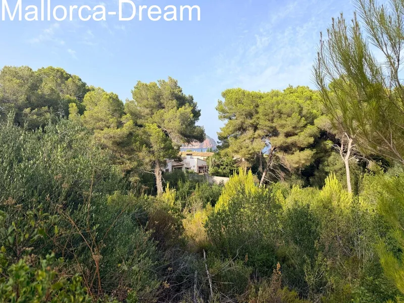 Costa de Canyamel: Building Plot with Project Plans in a Prime Location in Costa de Canyamel — photo 5