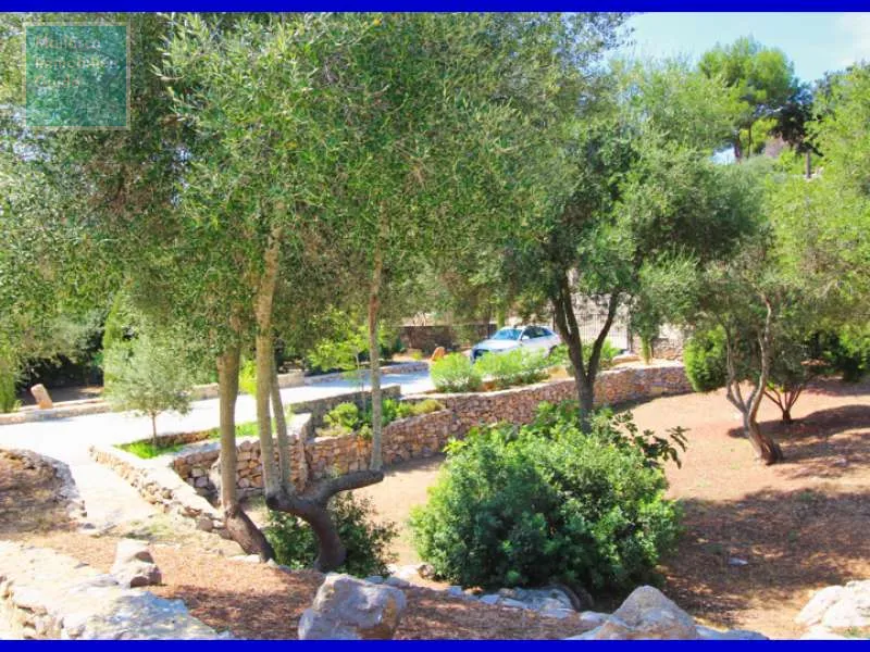 Finca close to Son Servera — photo 5